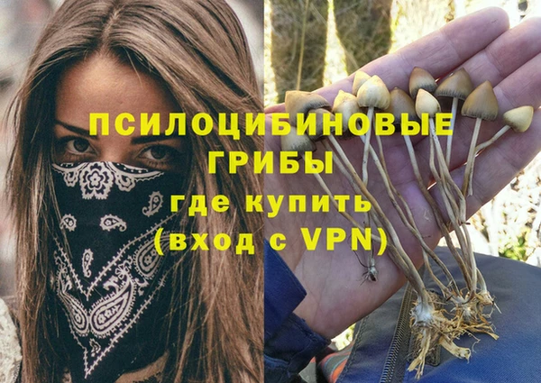метамфетамин Козельск