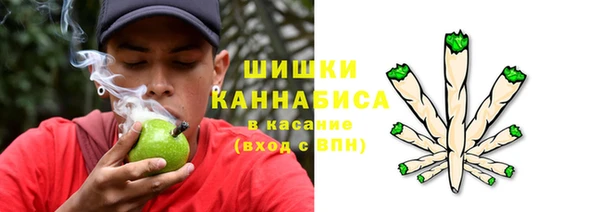 трава Болотное